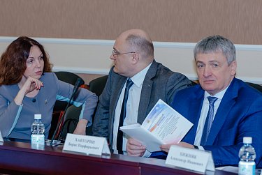 О Конституции РФ – на консультативном совете